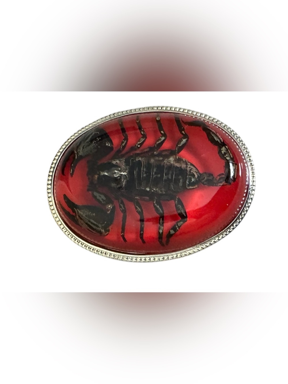 Scorpio Scorpion Vintage Belt Buckle